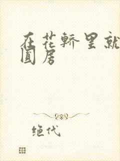 在花轿里就开始圆房