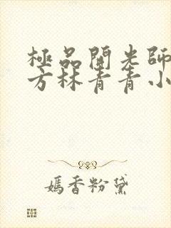 极品开光师李南方林青青小说叫