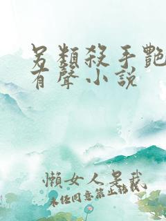 另类杀手艳福星有声小说