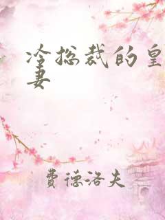 冷总裁的皇后暖妻