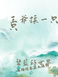 王爷揉一只舔一只