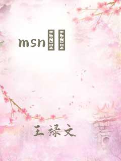msnС˵