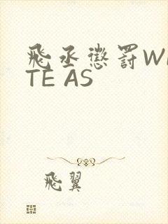 飞丞惩罚WRITE AS