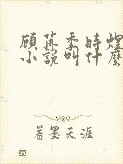 顾苒季时煜电竞小说叫什么名字