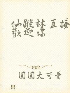 仙踪林直接入口欢迎你