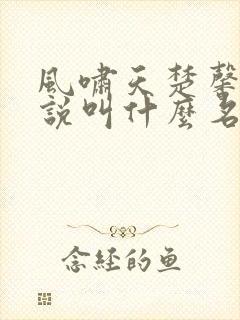 风啸天楚馨月小说叫什么名字