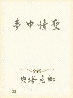 梦中情圣