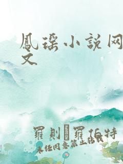 凤瑶小说网高辣文