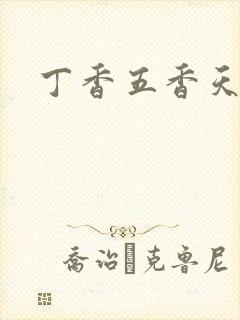 丁香五香天麻豆