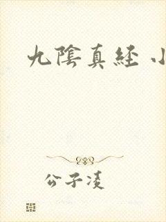 九阴真经 小说