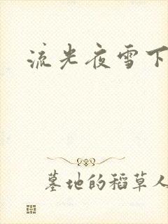 流光夜雪下载