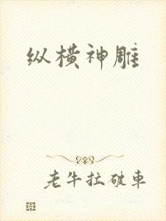 纵横神雕