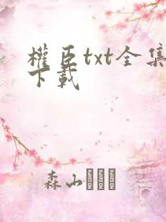 权臣txt全集下载