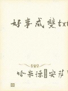 好事成双txt