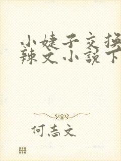 小婕子交换系列辣文小说下载