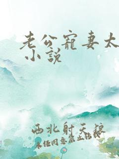 老公宠妻太甜蜜 小说