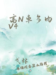 高N车多肉多1V4