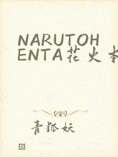 NARUTOHENTA花火本子
