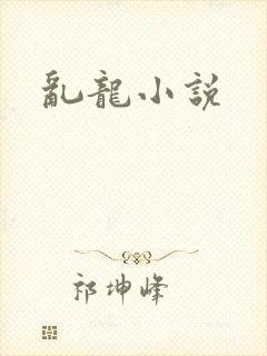 乱龙小说