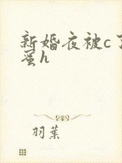 新婚夜被c了闺蜜h