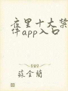 夜里十大禁用软件app入口