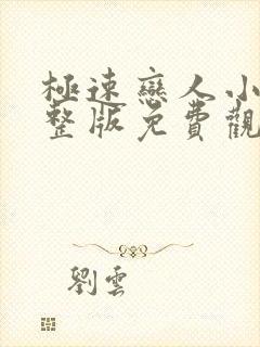 极速恋人小说完整版免费观看