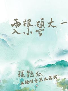 两根硕大一起挤入小雪