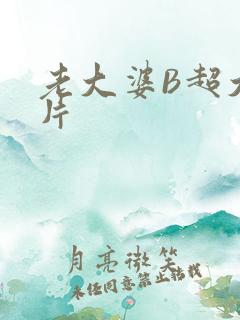 老大婆B超大图片