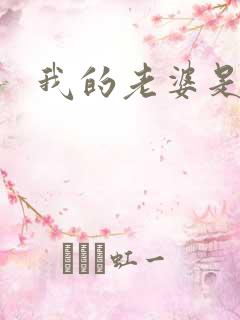 我的老婆是杀神