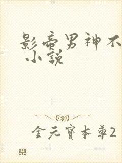 影帝男神不节制 小说