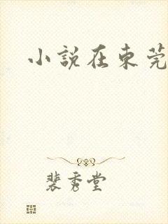小说在东莞