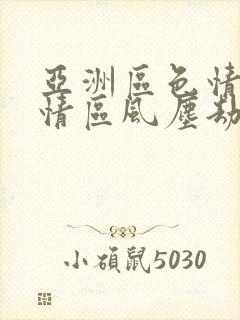 亚洲区色情区激情区风尘劫