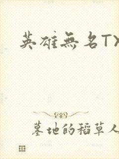 英雄无名TXT