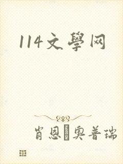 114文学网