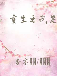 重生之我是刘备