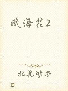 藏海花2