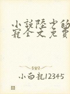 小说陆少的心尖宠全文免费阅读