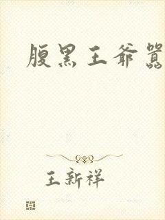 腹黑王爷嚣张妻