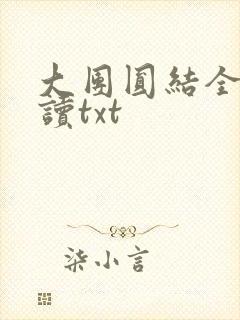 大团圆结全文阅读txt