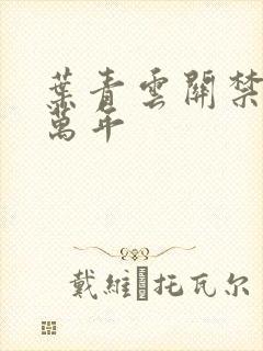 叶青云关禁闭一万年