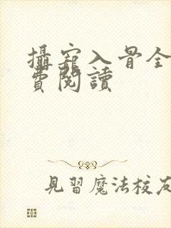 摄宠入骨全文免费阅读