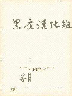 黑夜汉化组