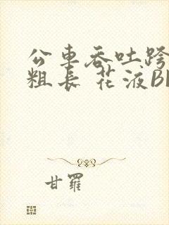 公车吞吐跨坐 粗长 花液BL