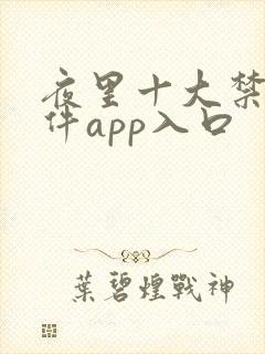 夜里十大禁用软件app入口