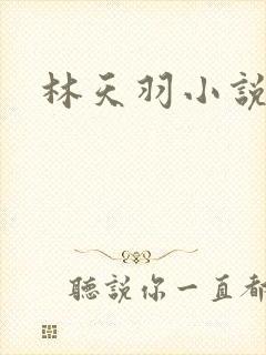 林天羽小说