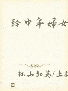 干中年妇女小说