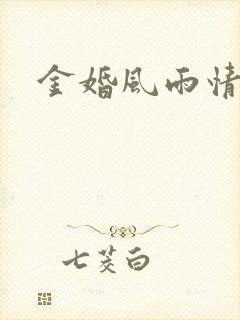 金婚风雨情下载