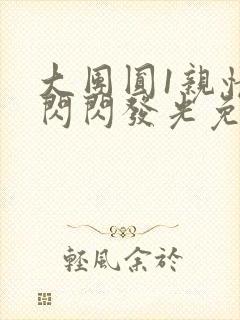 大团圆1亲情会闪闪发光免费