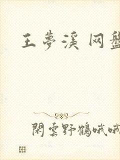 王梦溪 网盘