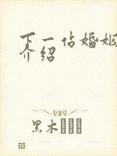 下一站婚姻剧情介绍